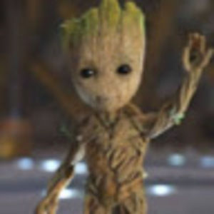 Meet your Posher, Maggie